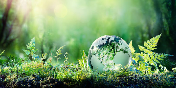 wttc-sustainability-reporting-roadmap